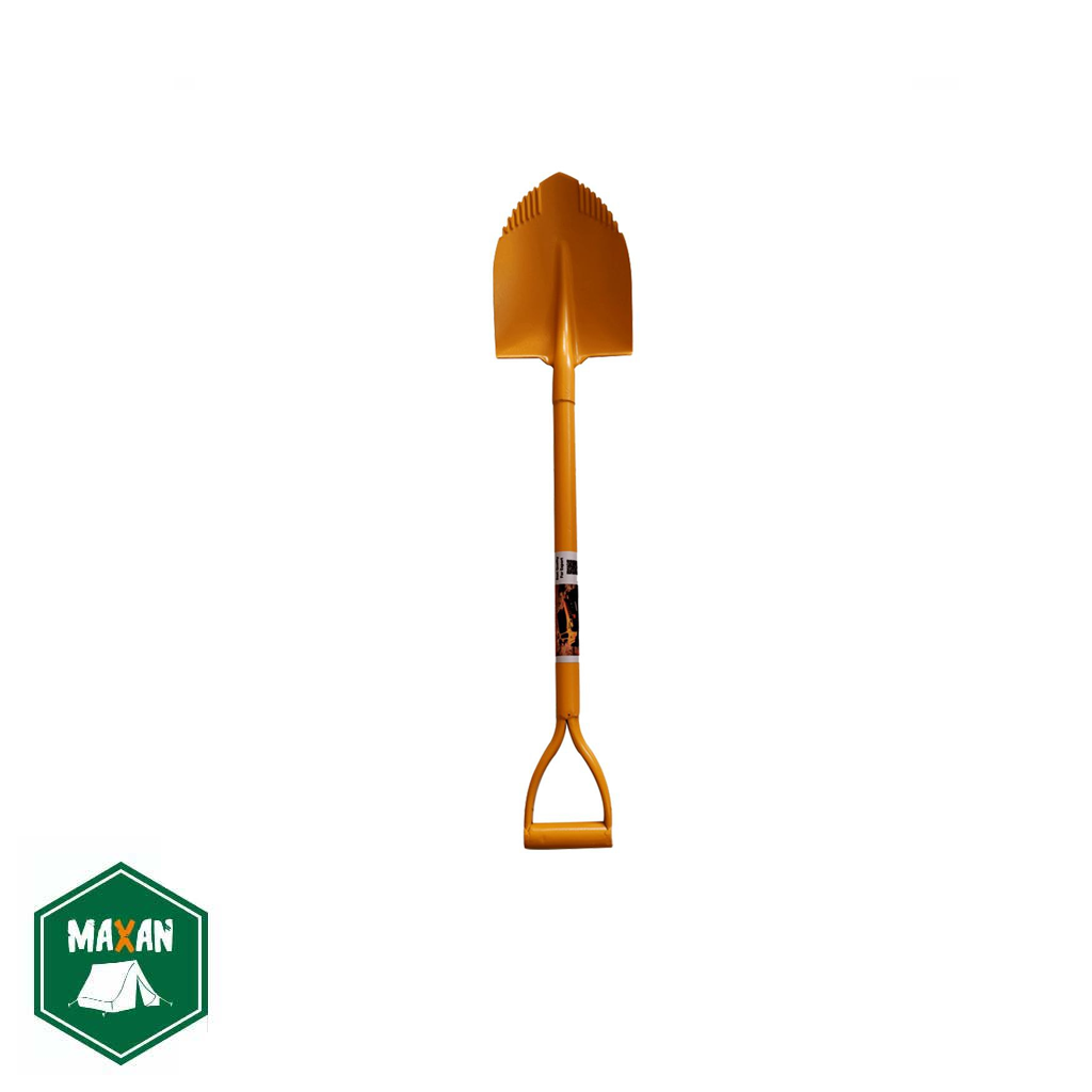 بیل آفرودی ریشه زن کوچک